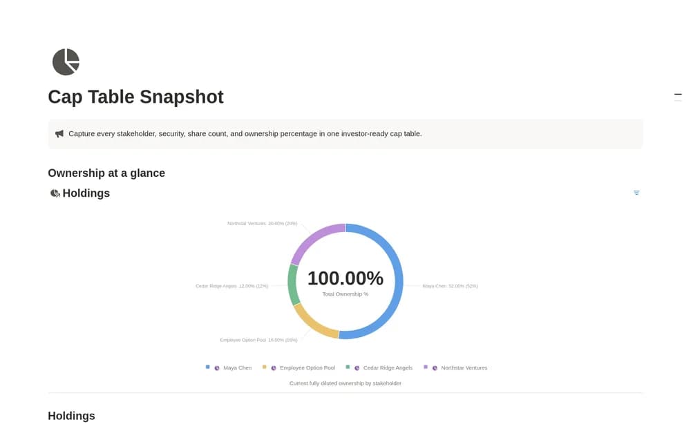 Cap Table Snapshot — preview from Notion Marketplace