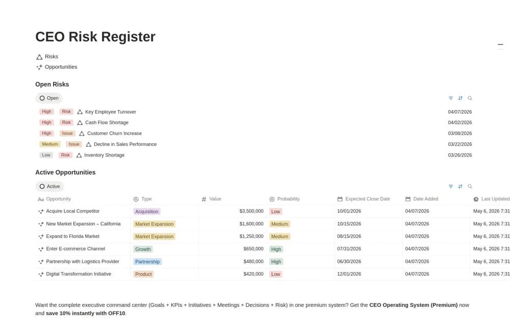CEO Risk Register Notion template preview