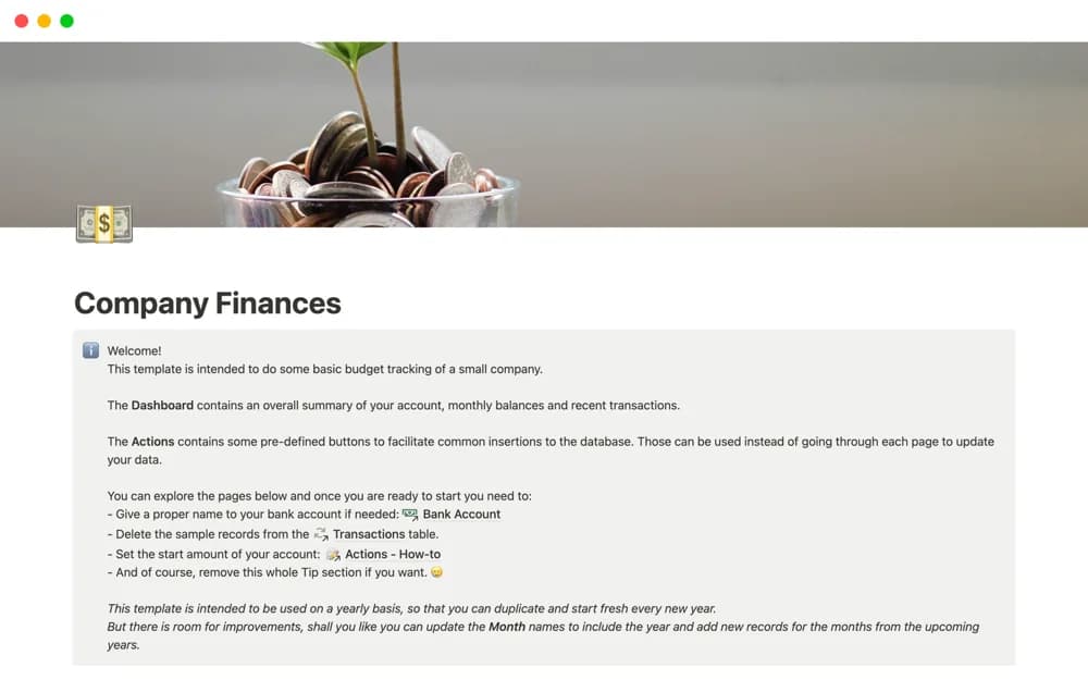 Small Company Finances Notion template preview